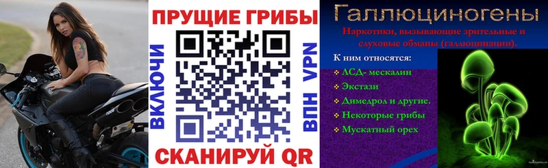 Псилоцибиновые грибы MAGIC MUSHROOMS  MEGA онион  Знаменск 